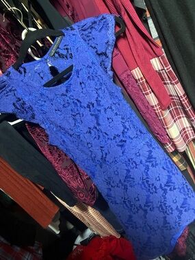 Signature8 Cobalt Blue Lace Mini Dress